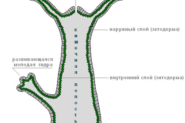 Кракен прямая ссылка