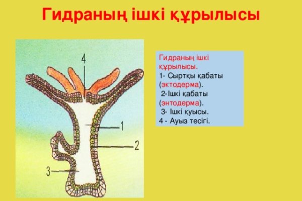 Kraken darknet sliv php